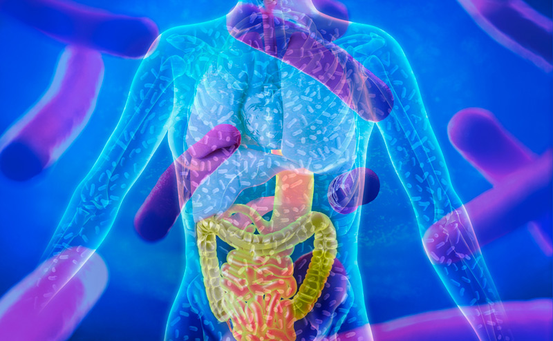 Disbiose e o microbioma humano