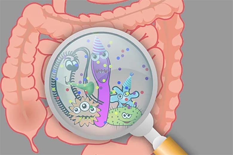 Supercrescimento bacteriano no intestino delgado (SCBID)