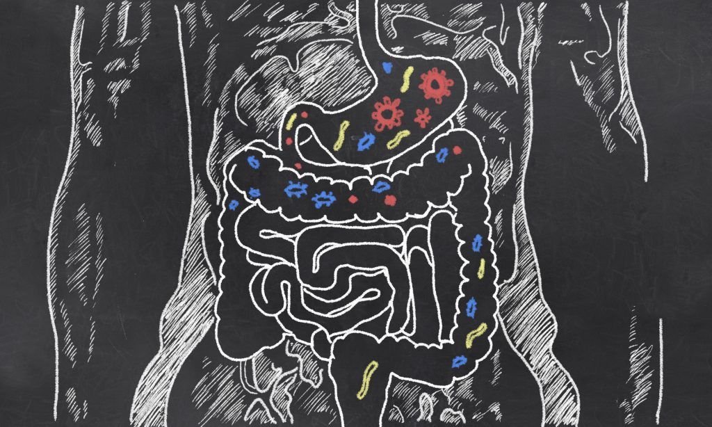 Intestino Permeável: Entenda o Que É, Causas, Sintomas e Tratamentos